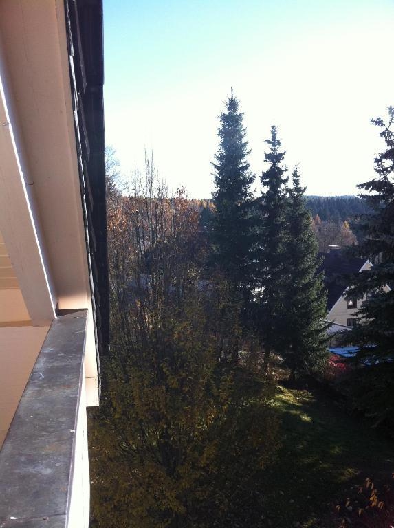 Concordia Harzapart Braunlage Dış mekan fotoğraf