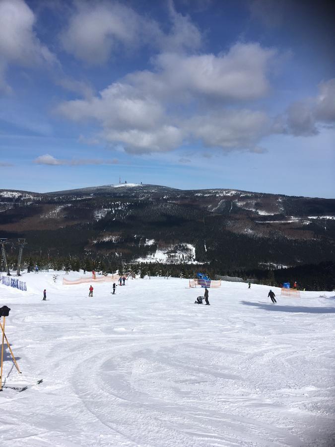 Concordia Harzapart Braunlage Dış mekan fotoğraf