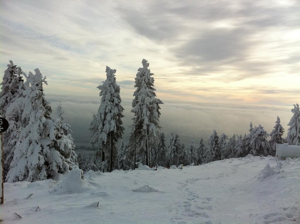 Concordia Harzapart Braunlage Dış mekan fotoğraf
