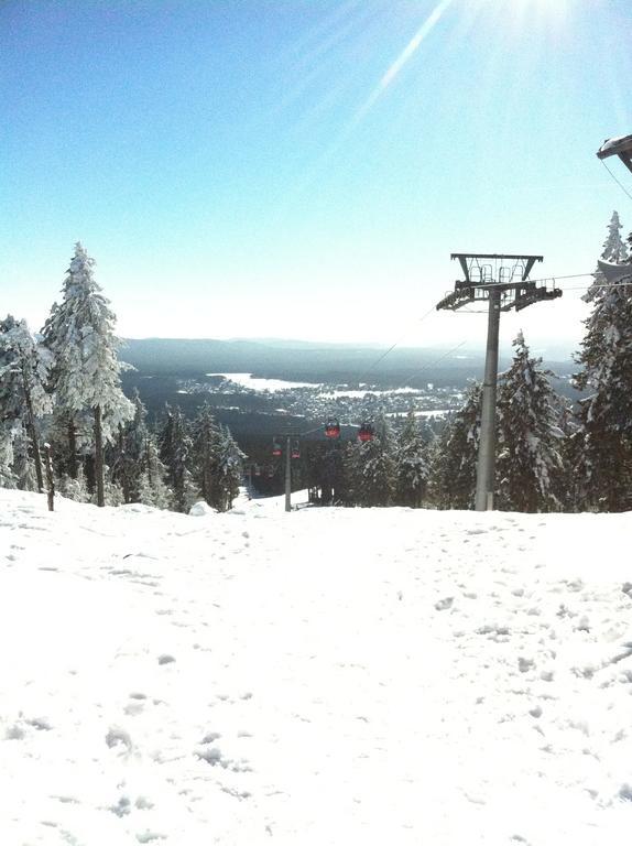 Concordia Harzapart Braunlage Dış mekan fotoğraf
