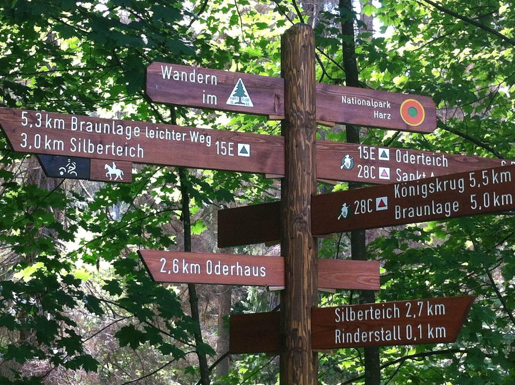 Concordia Harzapart Braunlage Dış mekan fotoğraf