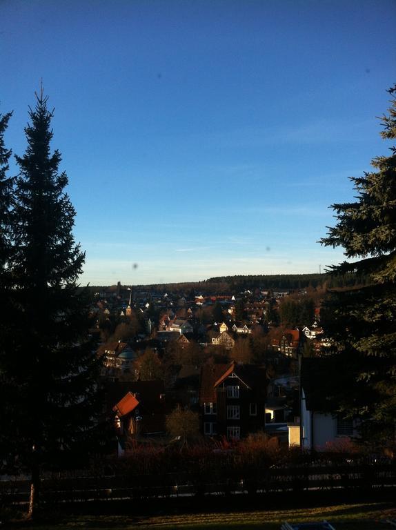 Concordia Harzapart Braunlage Dış mekan fotoğraf