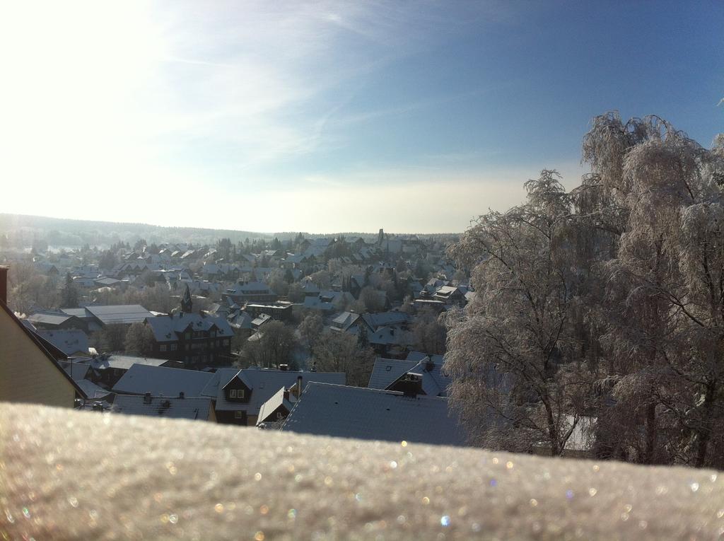 Concordia Harzapart Braunlage Oda fotoğraf
